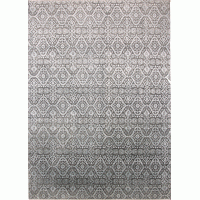 32977 Contemporary Indian Rugs
